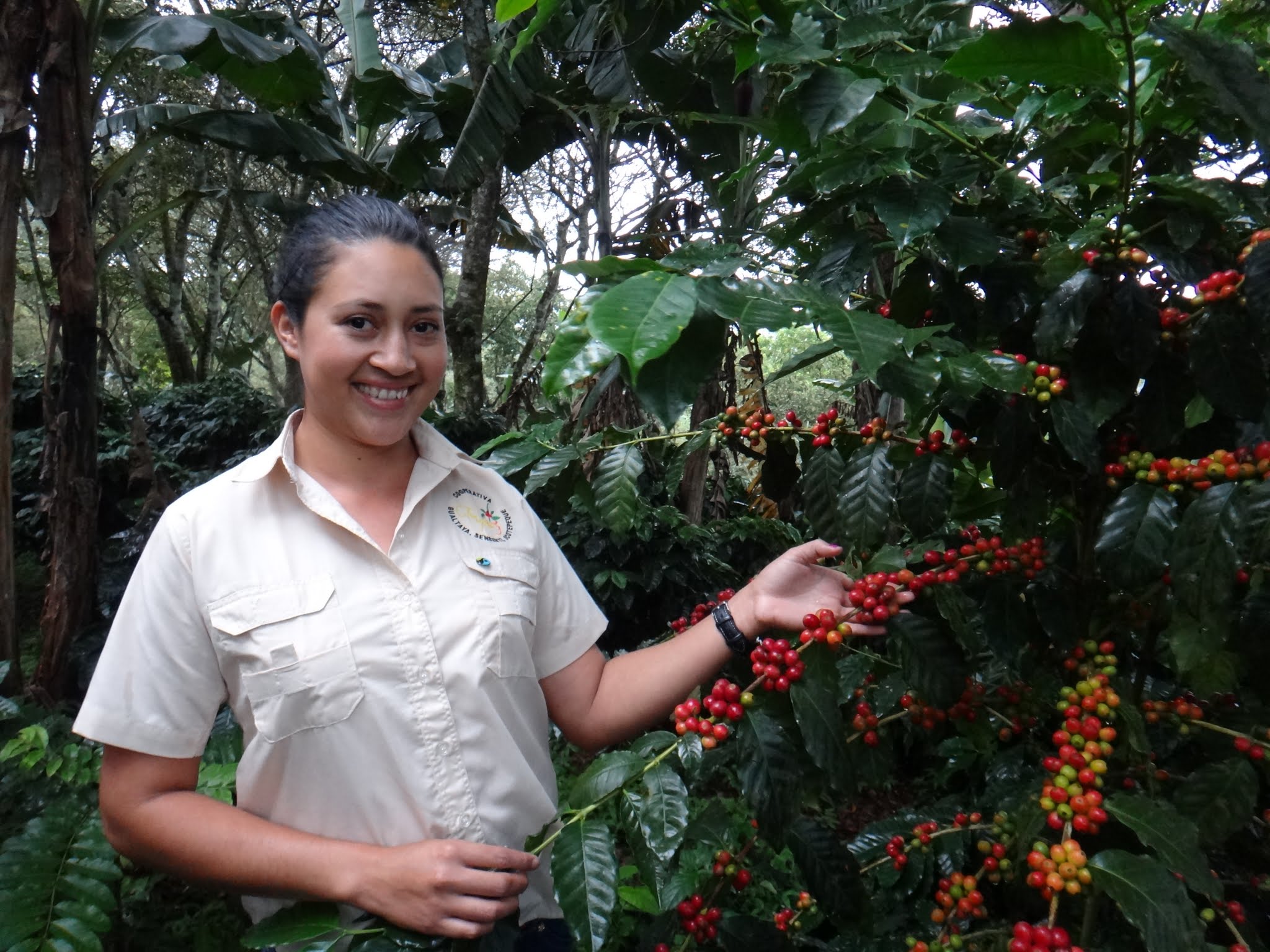 flor-del-pino-honduras-fairtrade-coffee-11