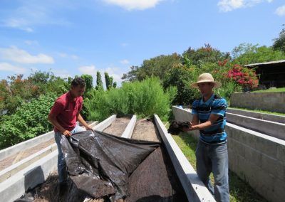 flor-del-pino-abonos-organicos-y-lombricultura-18